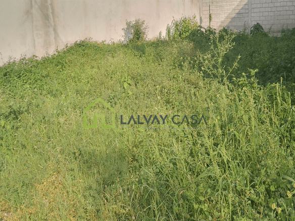 Solar de 200m² – alta Plusvalía, ubicada Cdla. Febres Corderos – una cuadra del CRINAE