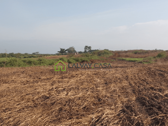Terreno de 4 Hectáreas Frente al Terminal Terrestre de Santa Rosa – Ideal para Desarrollo Residenciales y Turísticos
