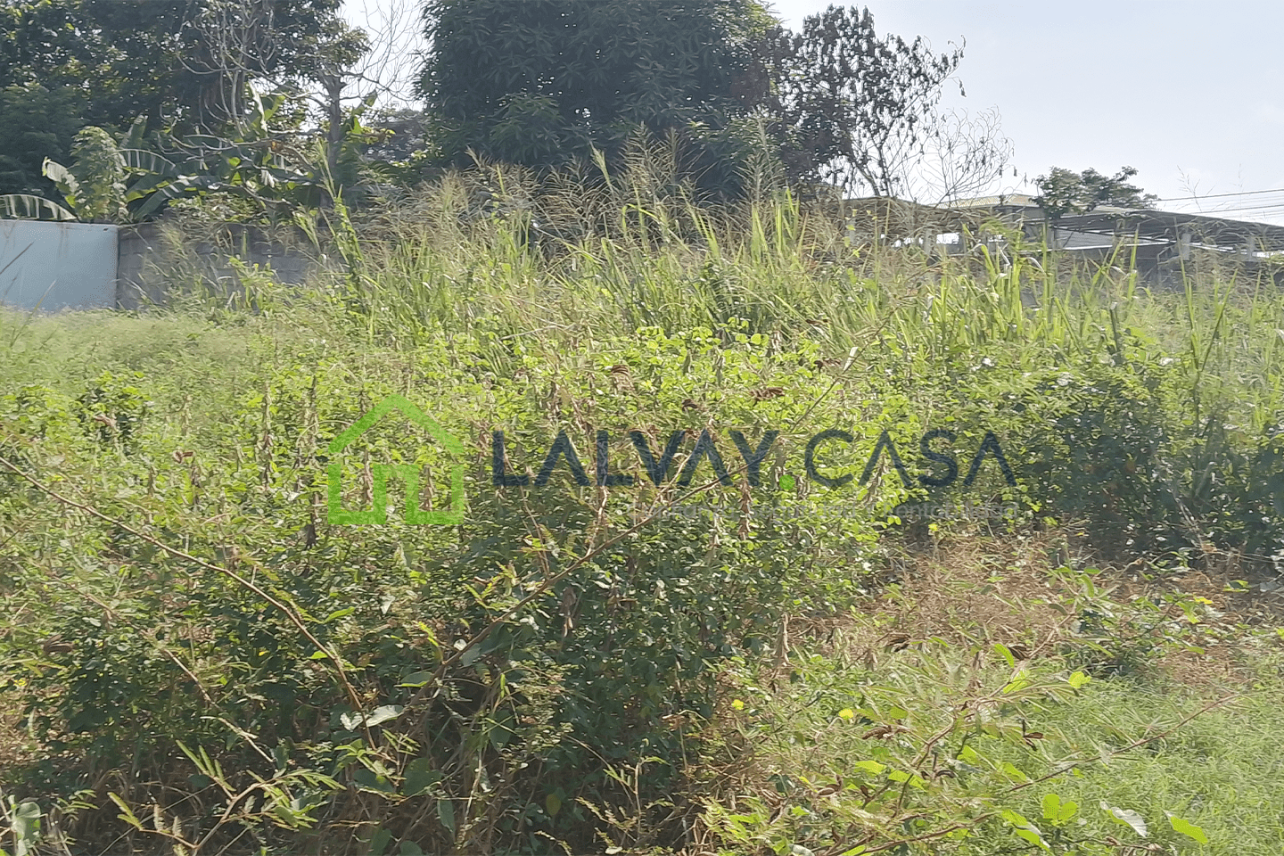 0017-2 ¡OPORTUNIDAD ÚNICA! TERRENO ESQUINERO DE 469m², COMPLETAMENTE RELLENADO Y LISTO PARA CONSTRUIR, A SOLO 2 CUADRAS DE LA VÍA PRINCIPAL JOFRE LIMA, EN CIUDADELA ANA BOLENA