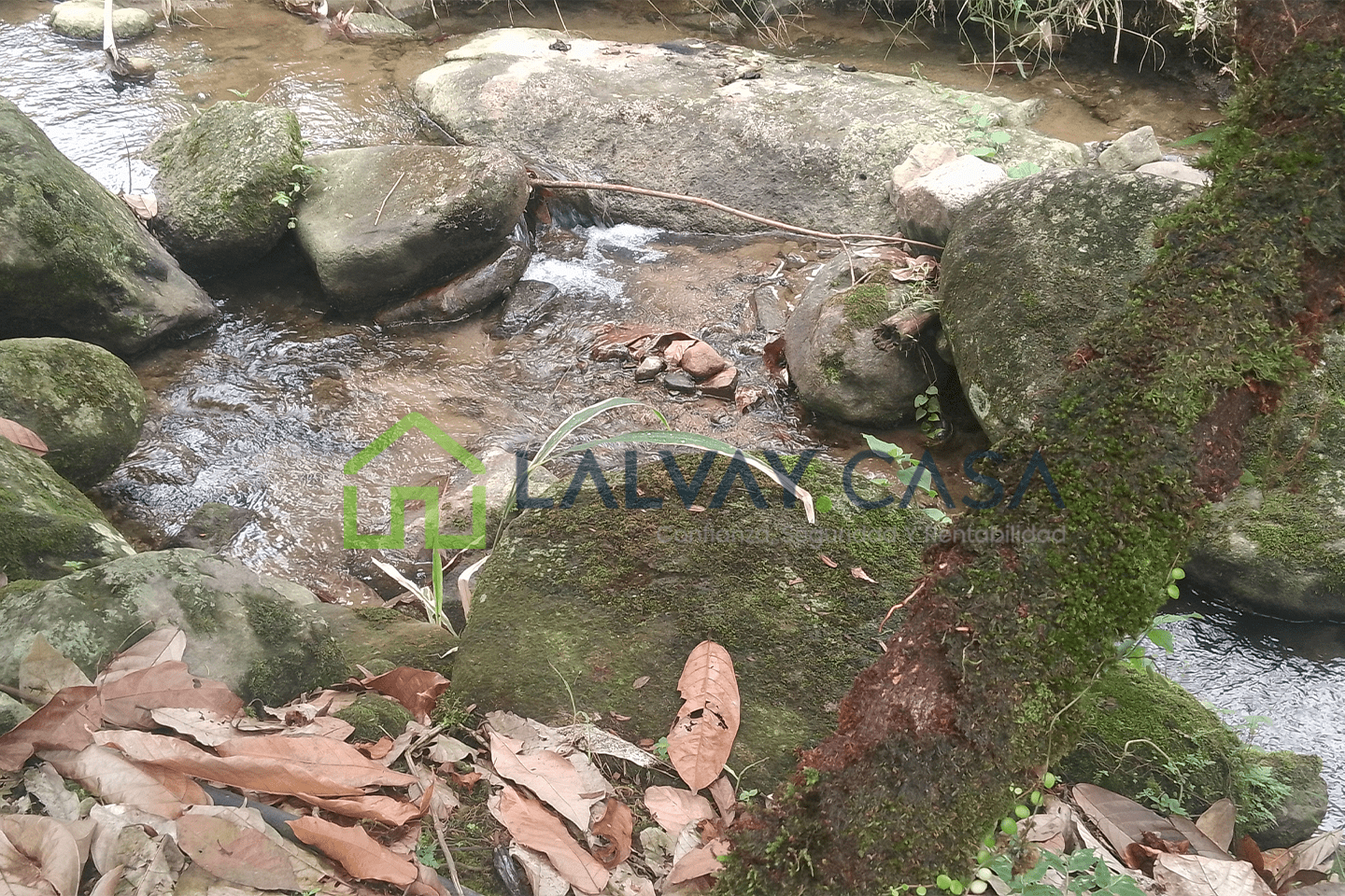 0018-10 Cacaotera de 6,8 Hectáreas, Una propiedad que combina producción, naturaleza, infraestructura y una ubicación con fácil conexión hacia importantes zonas de la región.