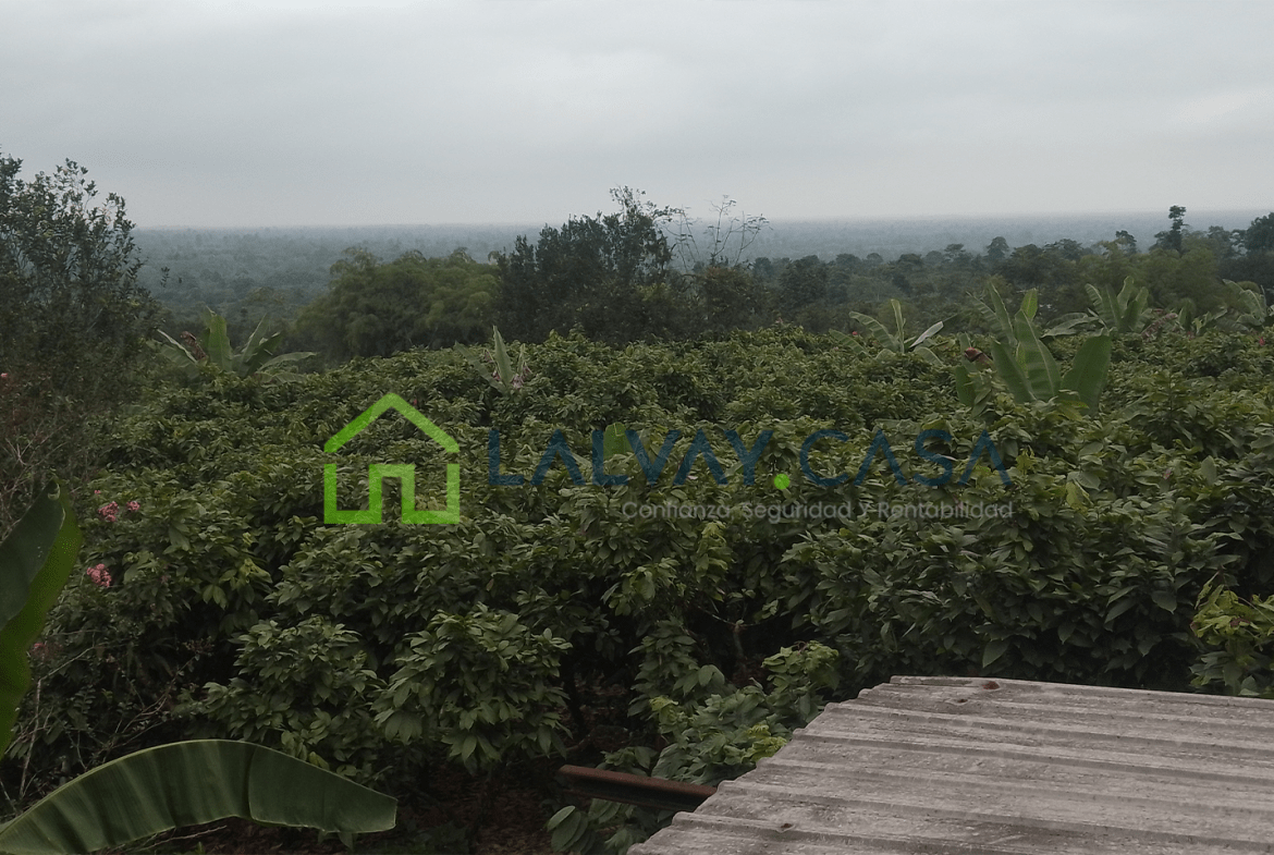 Cacaotera de 6,8 Hectáreas, Una propiedad que combina producción, naturaleza, infraestructura y una ubicación con fácil conexión hacia importantes zonas de la región.