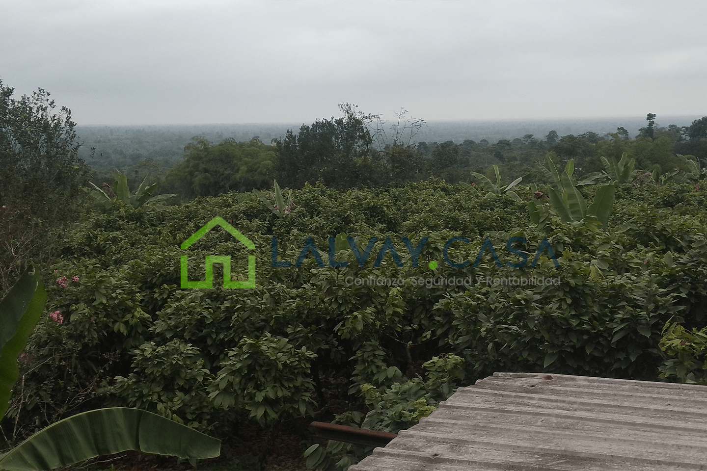 0018-12 Cacaotera de 6,8 Hectáreas, Una propiedad que combina producción, naturaleza, infraestructura y una ubicación con fácil conexión hacia importantes zonas de la región.