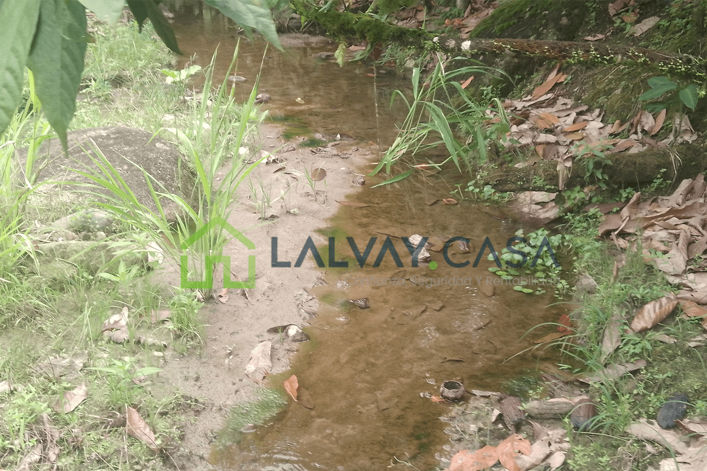 0018-3 Cacaotera de 6,8 Hectáreas, Una propiedad que combina producción, naturaleza, infraestructura y una ubicación con fácil conexión hacia importantes zonas de la región.