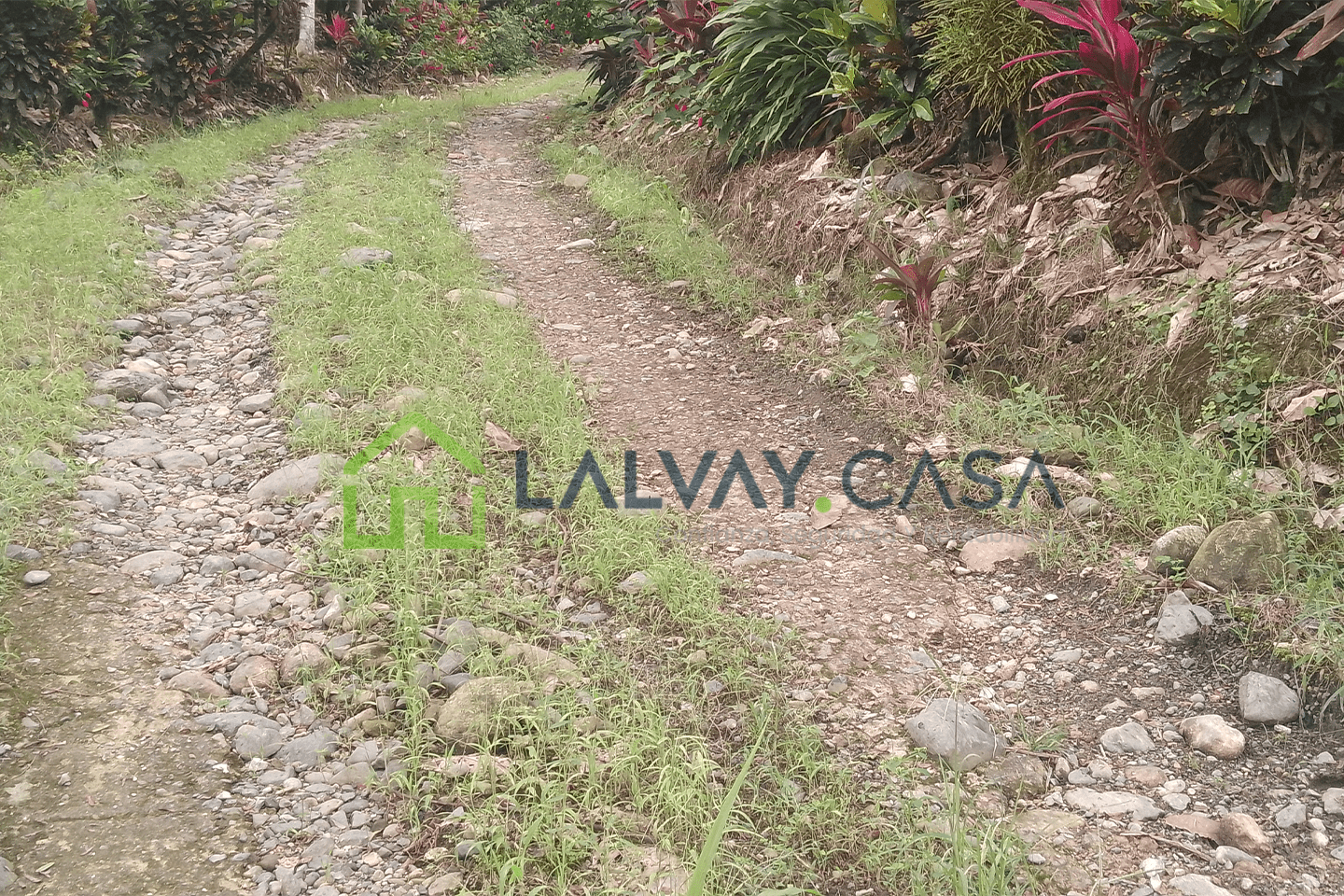 0018-6 Cacaotera de 6,8 Hectáreas, Una propiedad que combina producción, naturaleza, infraestructura y una ubicación con fácil conexión hacia importantes zonas de la región.