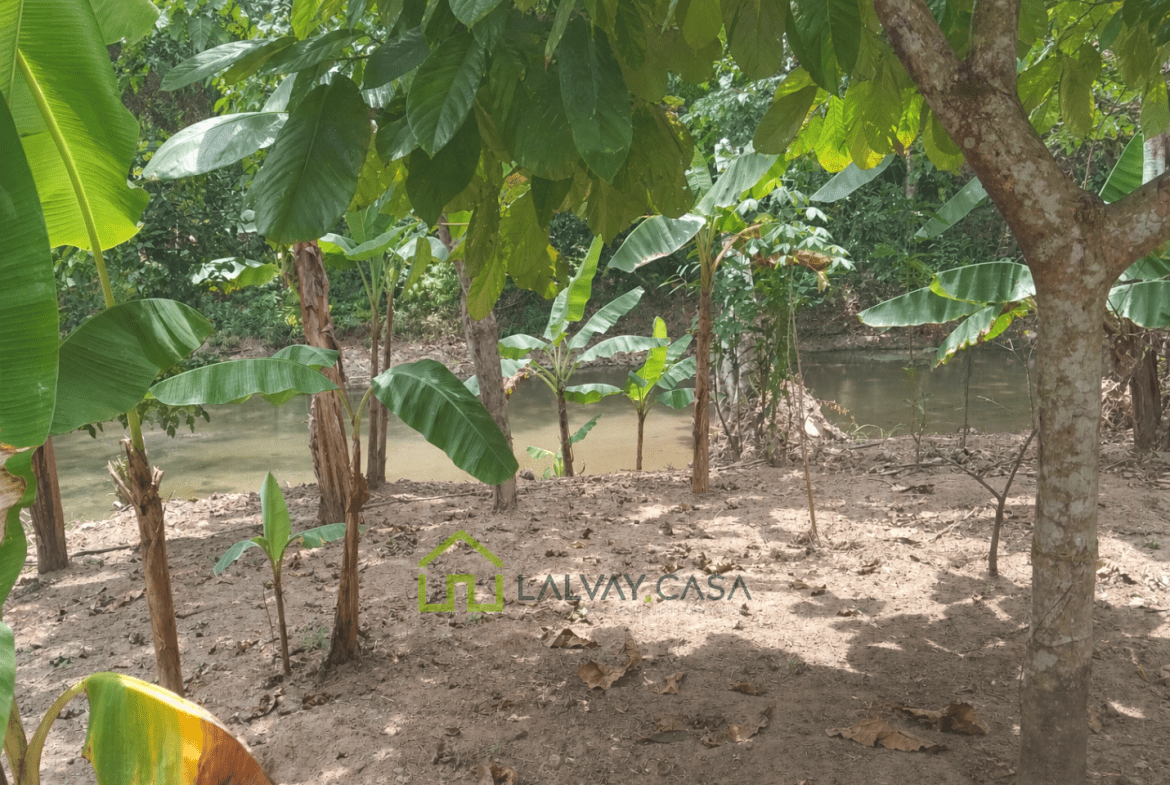 🏡 ¡INVIERTE DONDE LA NATURALEZA SE ENCUENTRA CON LA COMODIDAD! 🌿